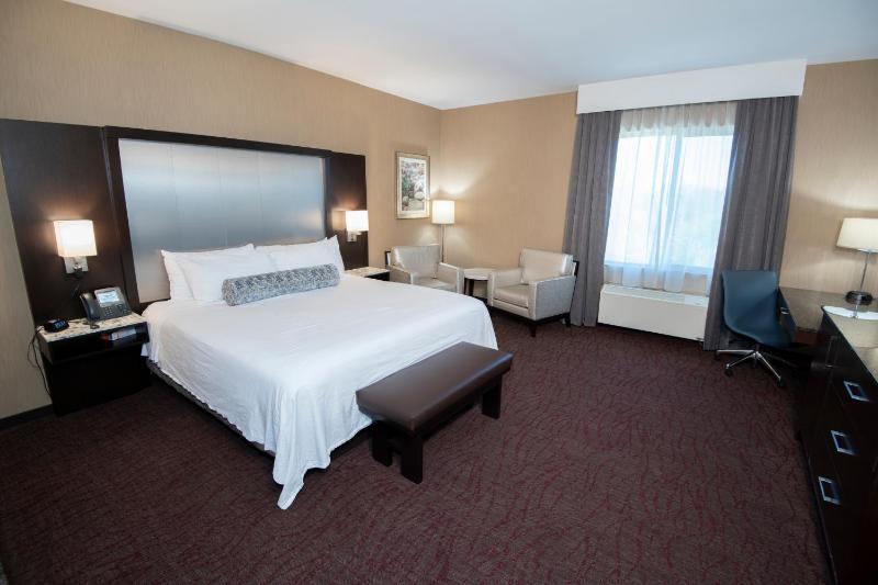 Deluxe King Suite image 3