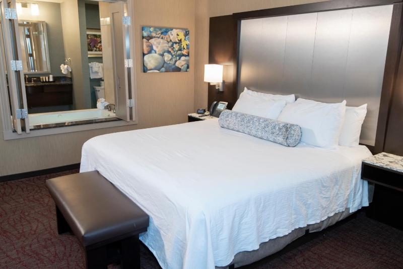 Deluxe King Suite image 2