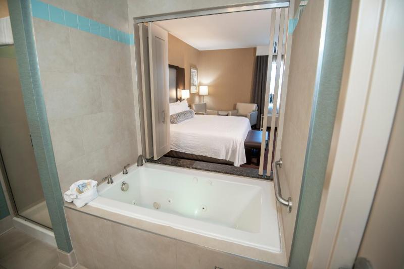 Deluxe King Suite image 3