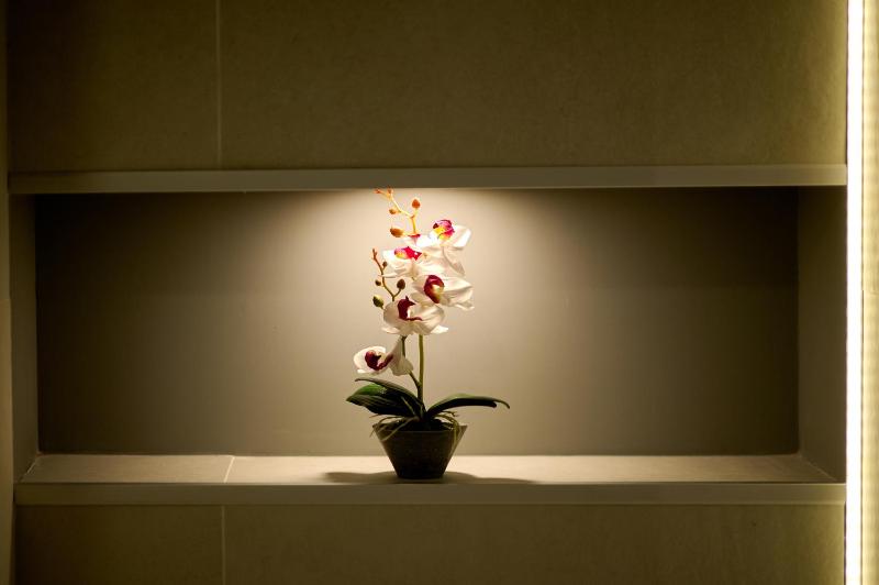 Double Room with Sea View image 2