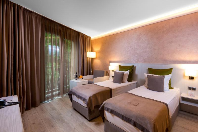Deluxe Double or Twin Room image 1
