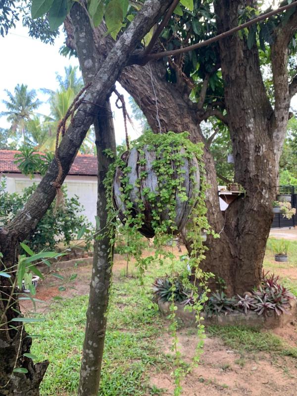 Sobha Holiday Home - image 44
