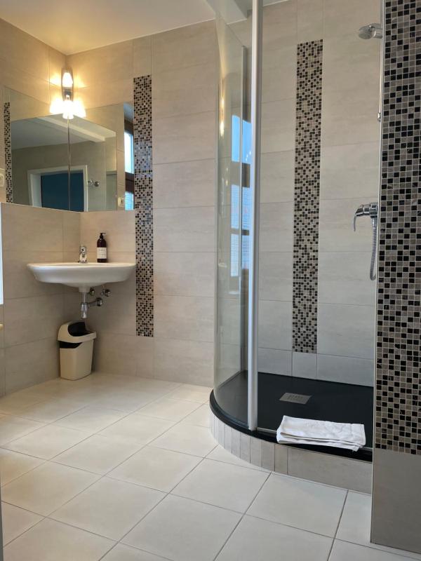 Deluxe Double or Twin Room image 2