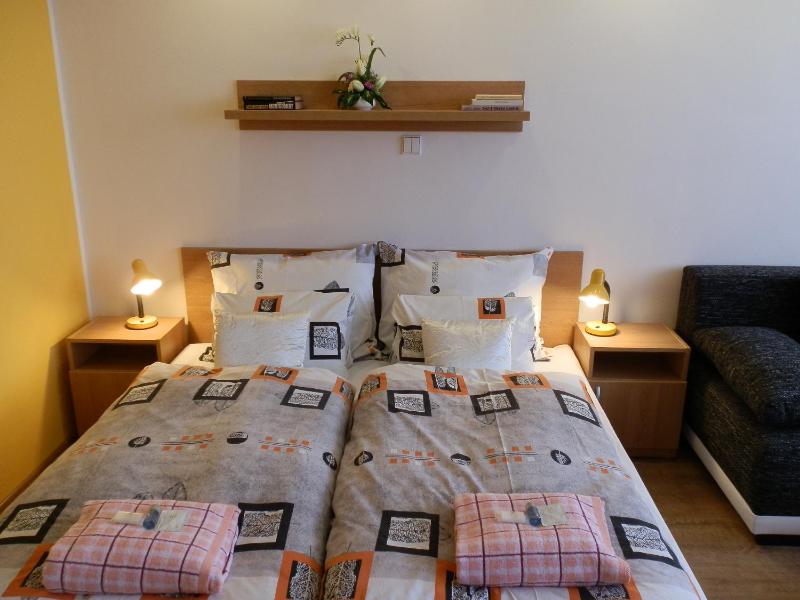 Double or Twin Room image 4