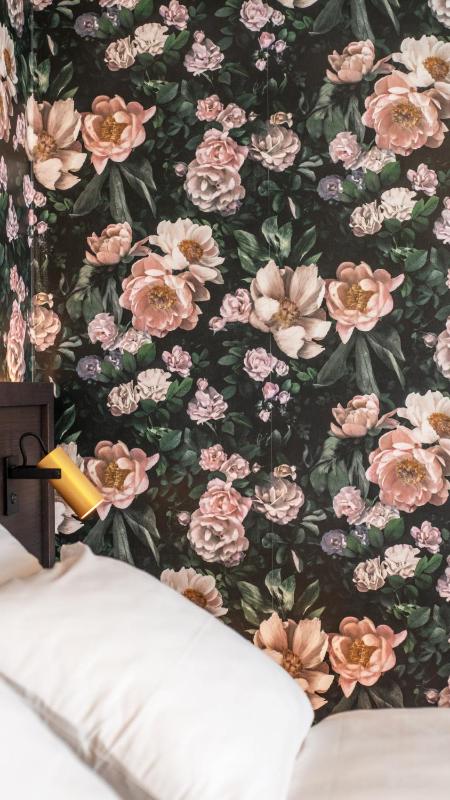 Standard Single Room image 4