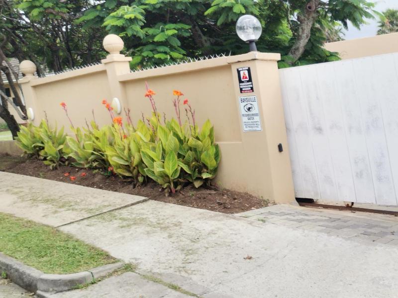 Palm Tree BnB - image 10