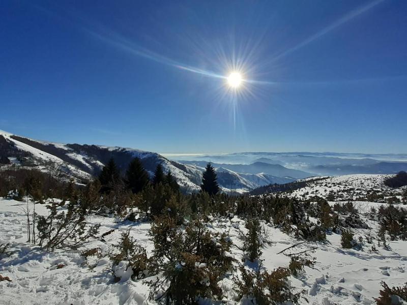 Lux apartmani Dunja Kopaonik Čardaci - WHITE - image 8