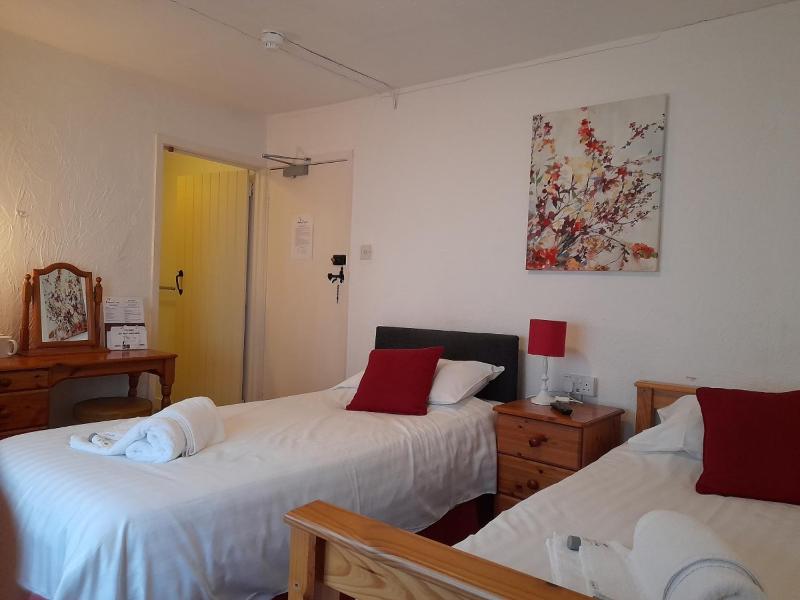 Standard Twin Room image 3