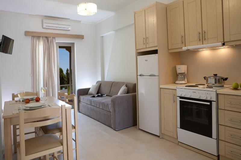 One-Bedroom Apartment with Sofa Bed image 3