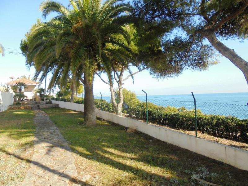 Finca del Moro - image 35