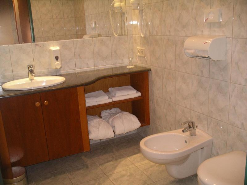 Large One-Bedroom Apartment image 2