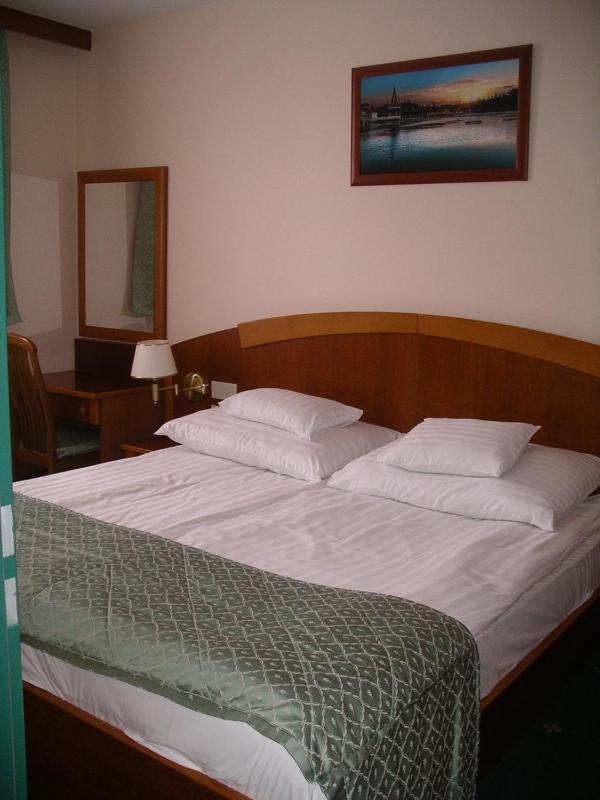 Large One-Bedroom Apartment image 1