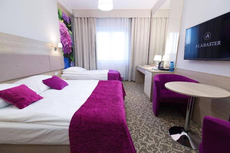 Deluxe Single Room image 2