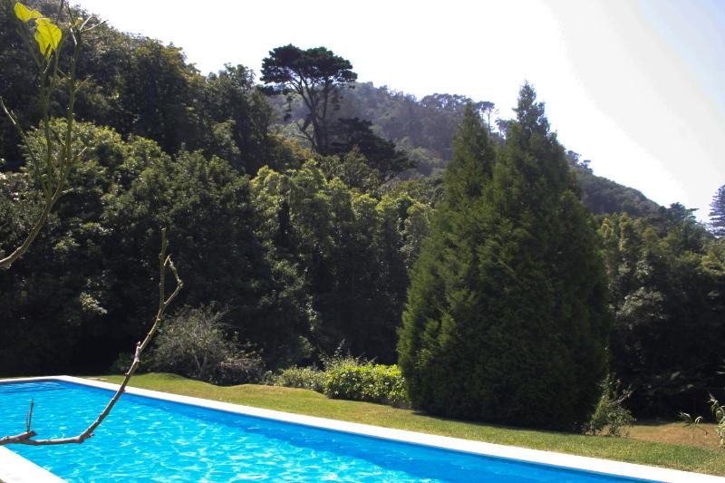 Hotel Sintra Jardim - image 11