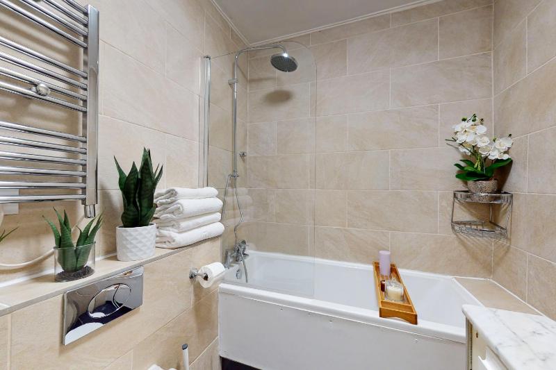 One-Bedroom Apartment with Terrace image 4