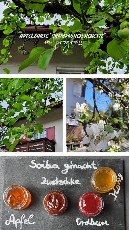 Gästehaus Alpenkranz - image 16