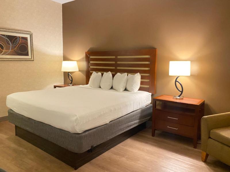 Standard King Room image 2