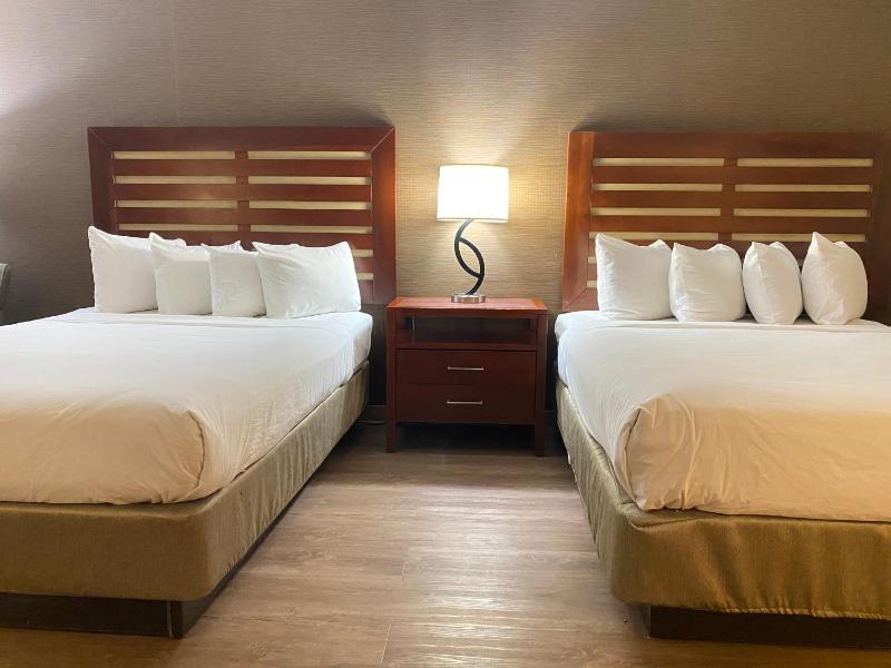 Standard Queen Room with Two Queen Beds image 4