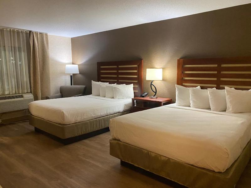 Standard Queen Room with Two Queen Beds image 3