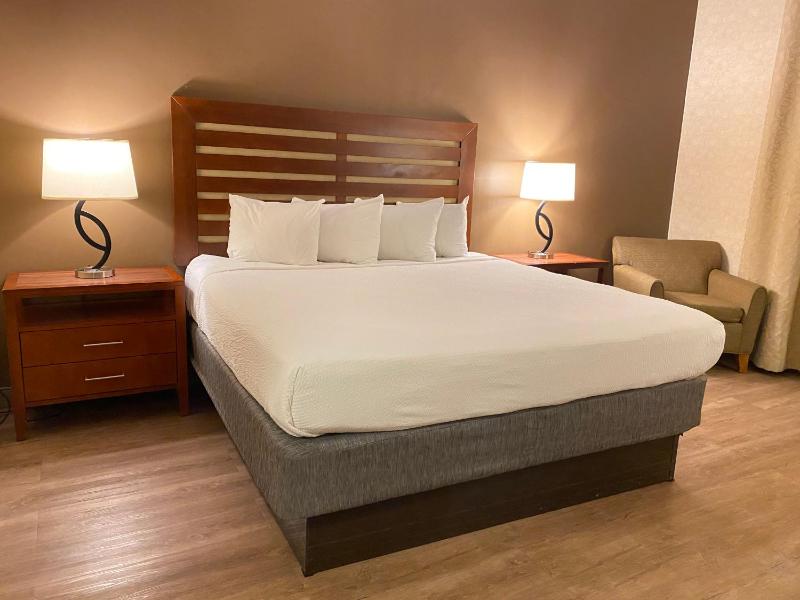 King Room - Disability Access image 3