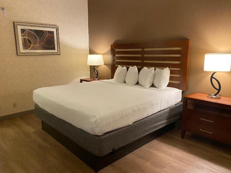 King Room - Disability Access image 4
