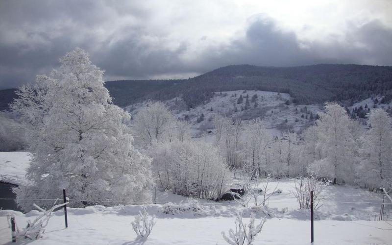 Two-Bedroom Apartment image 4