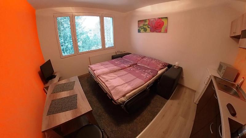 Studio Apartment image 4