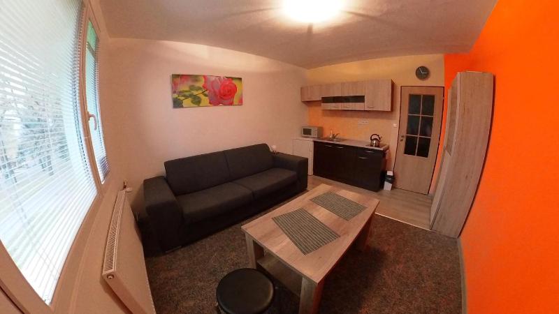 Studio Apartment image 3