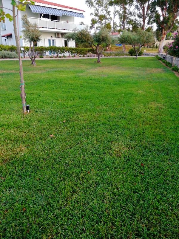 Aloni Studios and Apartments - image 43