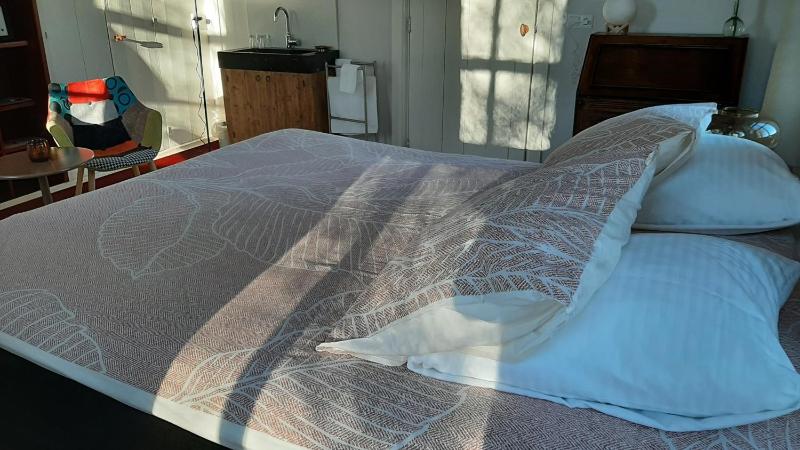 King Room with Garden View image 4