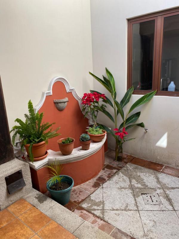 Suite don Pedro: Hermoso Loft con parqueo gratis! - image 8