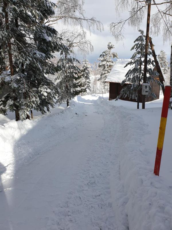 Divčibarka - image 8