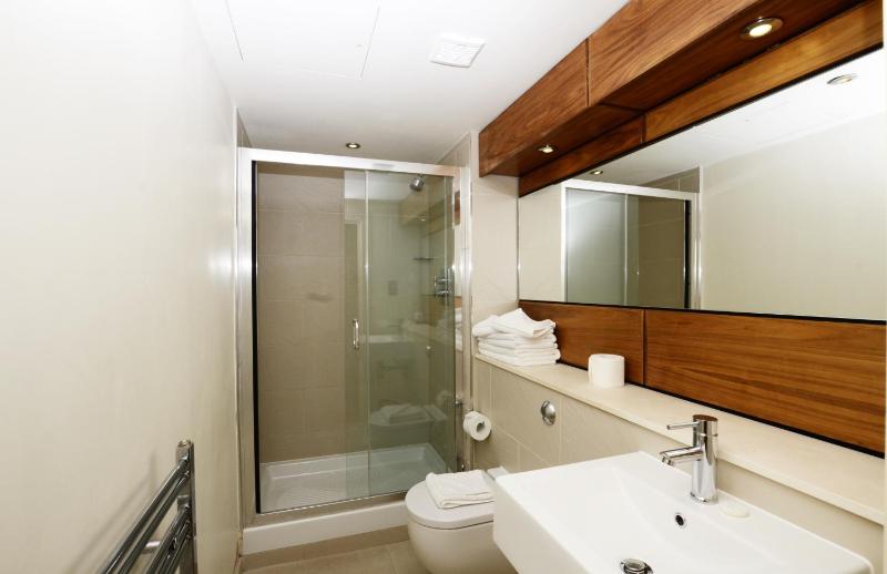One Bedroom Apartment image 4