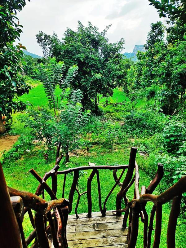Sigiriya Rock Gate Tree House - image 16
