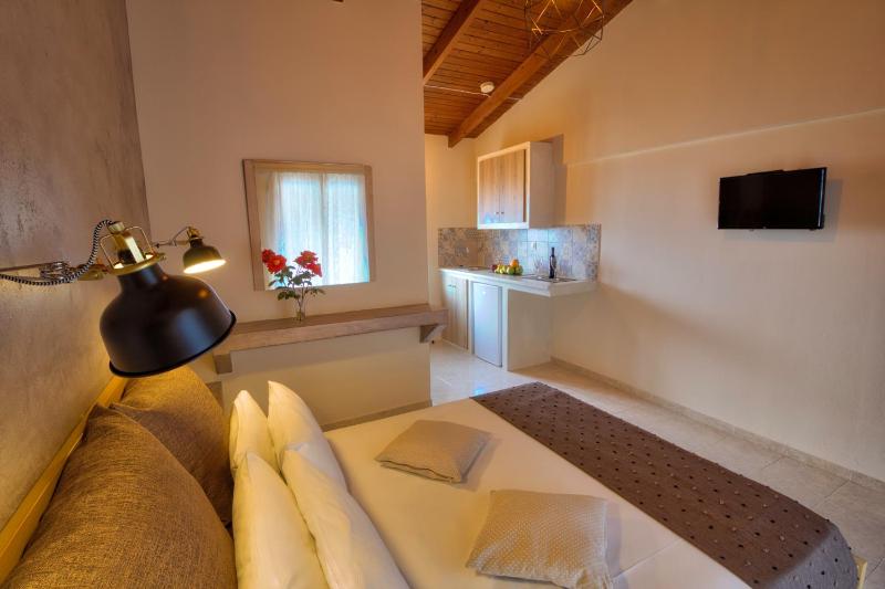 One-Bedroom Apartment image 4