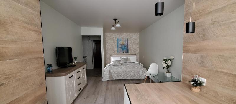 One-Bedroom Apartment image 4