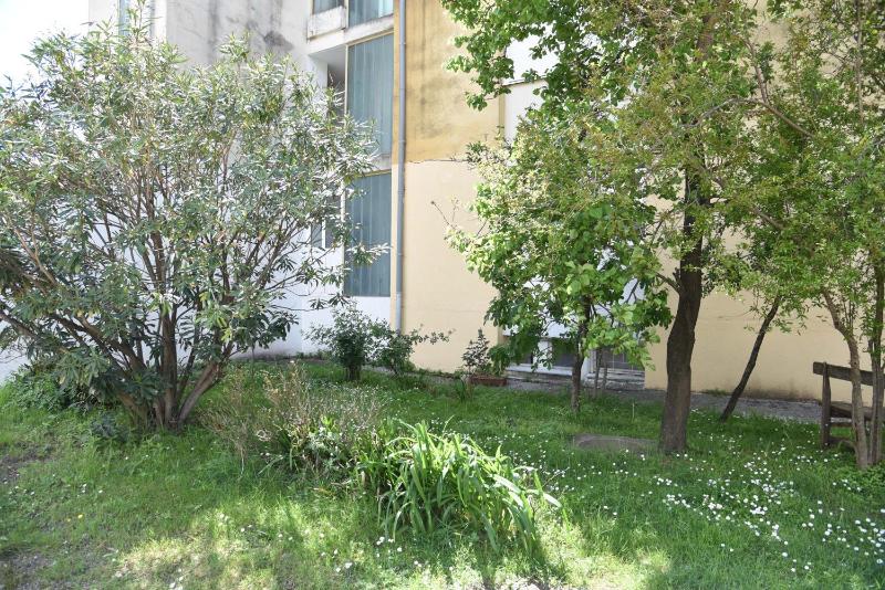 One-Bedroom Apartment image 4