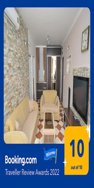 One-Bedroom Apartment image 2