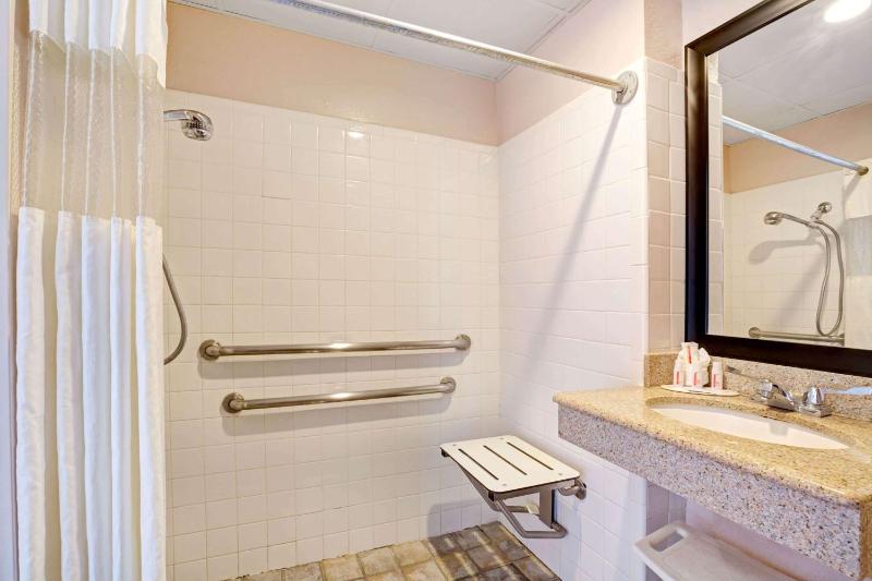 1 King Bed, Mobility Accessible Room, Roll-In Shower,Non-Smoking image 2