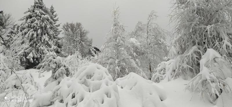 Na Małej - image 44