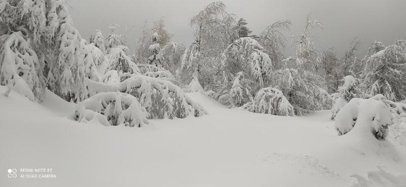 Na Małej - image 16
