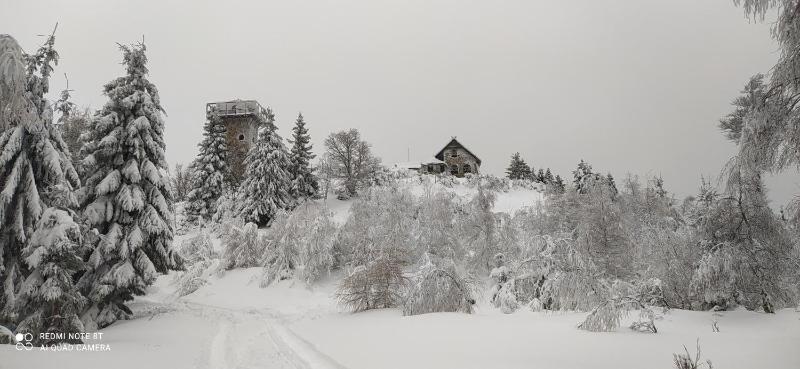 Na Małej - image 11