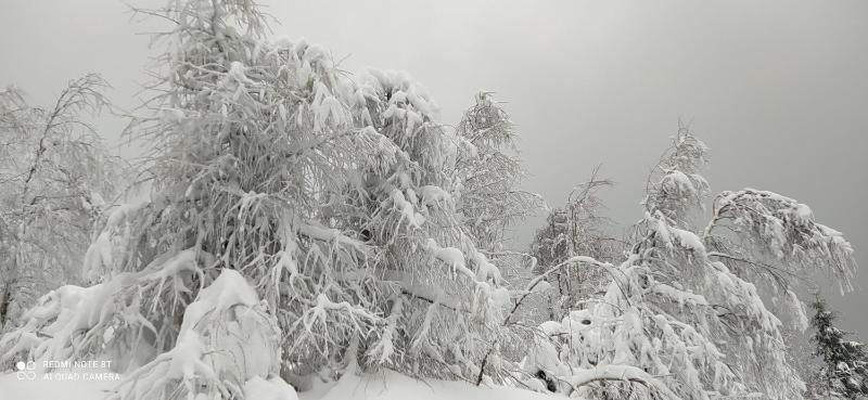 Na Małej - image 13