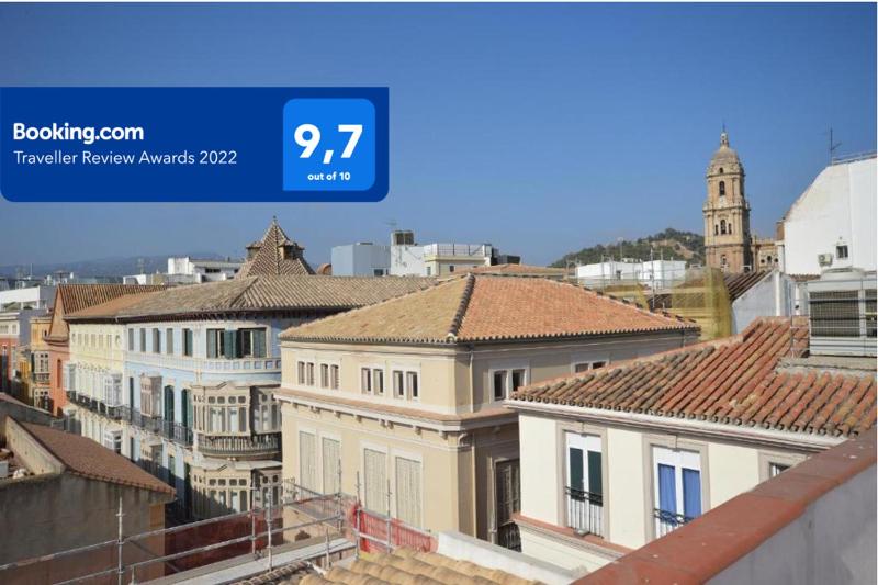 Calle Cinteria Images