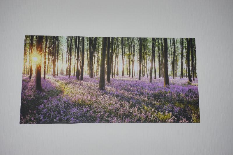 Superior Apartment image 3