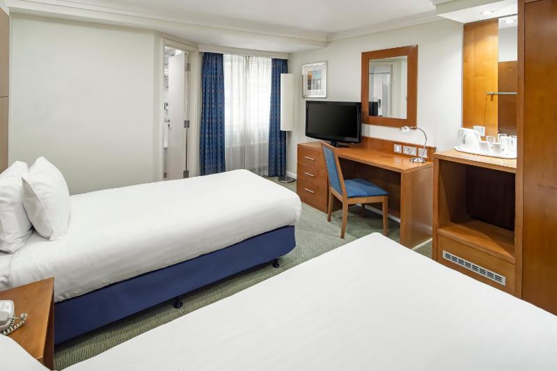 Standard Twin Room image 3