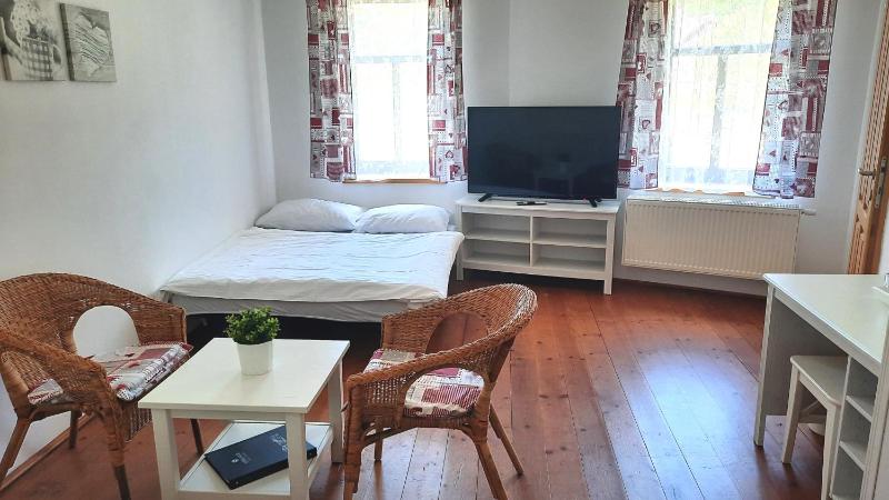 One-Bedroom Apartment image 3