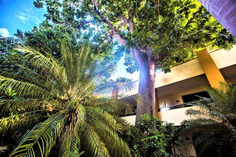 Hotel Plaza Mirador - image 8