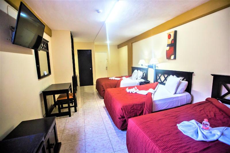 Hotel Plaza Mirador - image 12