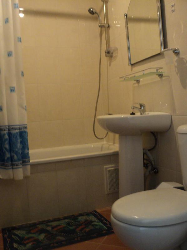 Standard Twin Room image 2